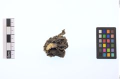Foto von Gold (NHMW-MIN-Ab6849)